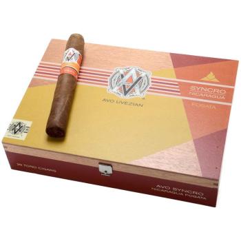 Syncro Nicaragua Fogata Toro